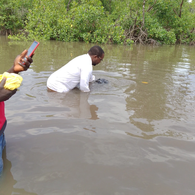 Foto bwasa nbko Binhota