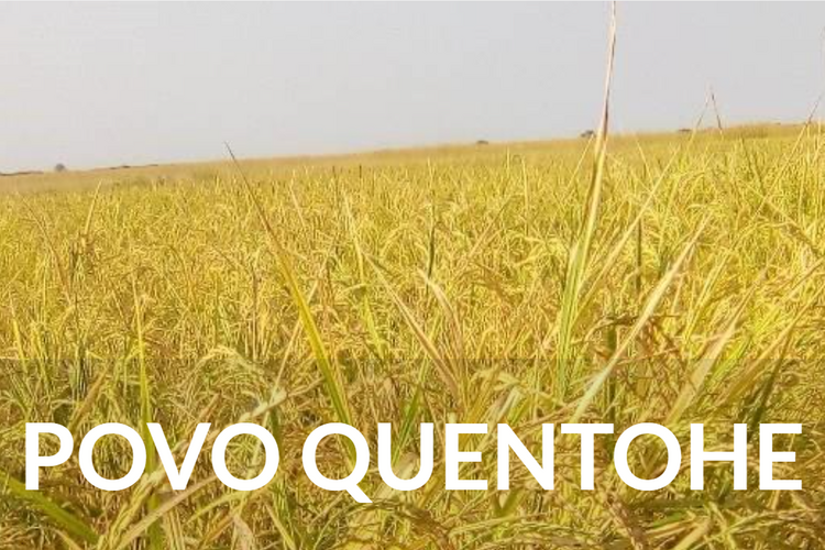 Inicio Quentohe